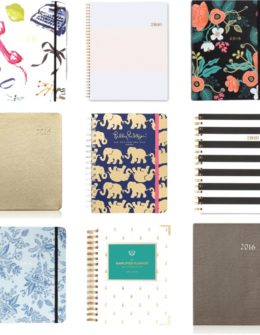 the best planners for 2016